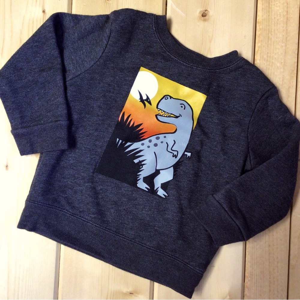 Garanimals sweatshirt.